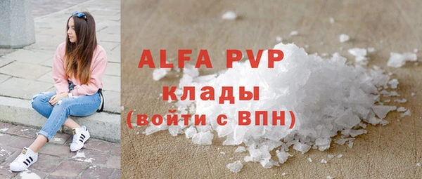 шишки Заводоуковск