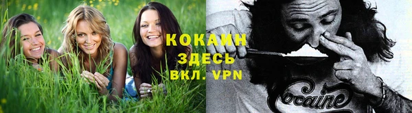 mix Ельня
