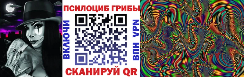 Купить  Городовиковск  Псилоцибиновые грибы Cubensis 